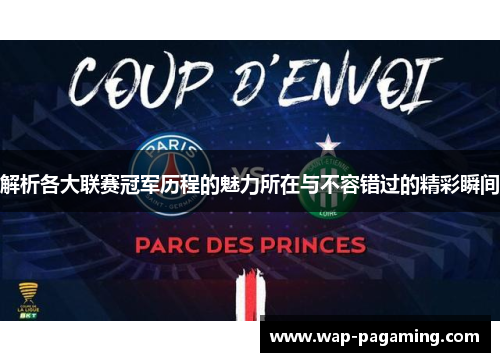 解析各大联赛冠军历程的魅力所在与不容错过的精彩瞬间