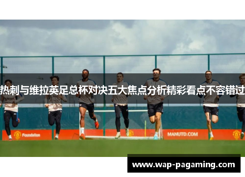 热刺与维拉英足总杯对决五大焦点分析精彩看点不容错过