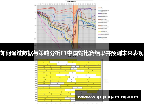如何通过数据与策略分析F1中国站比赛结果并预测未来表现
