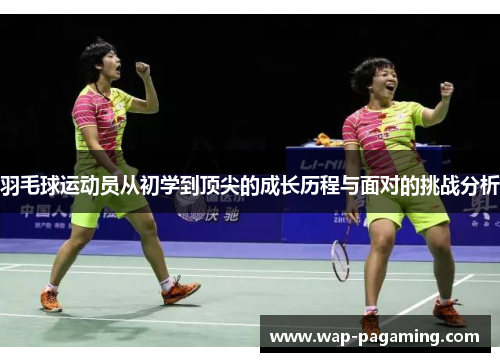 羽毛球运动员从初学到顶尖的成长历程与面对的挑战分析