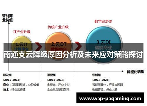 南通支云降级原因分析及未来应对策略探讨