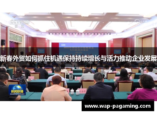 新春外贸如何抓住机遇保持持续增长与活力推动企业发展