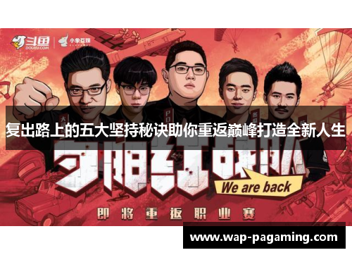 复出路上的五大坚持秘诀助你重返巅峰打造全新人生