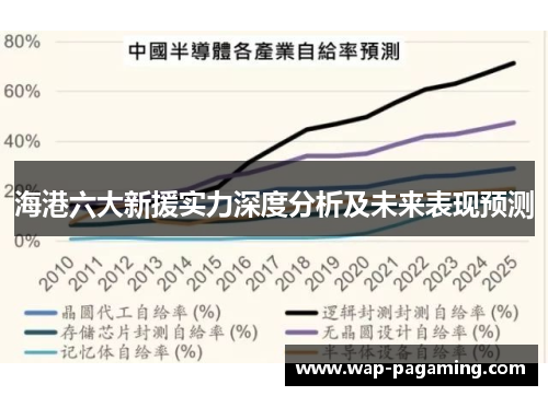 海港六大新援实力深度分析及未来表现预测