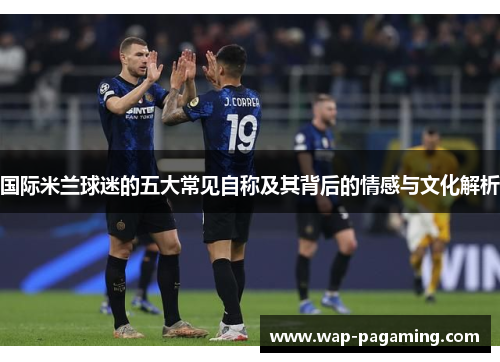 国际米兰球迷的五大常见自称及其背后的情感与文化解析