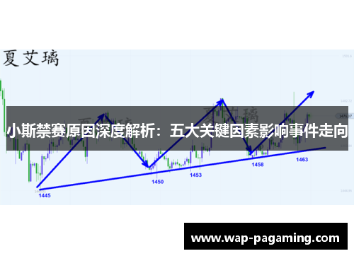 小斯禁赛原因深度解析：五大关键因素影响事件走向