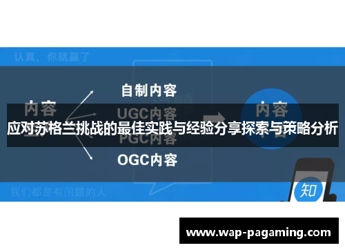 应对苏格兰挑战的最佳实践与经验分享探索与策略分析