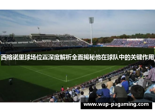 西格诺里球场位置深度解析全面揭秘他在球队中的关键作用
