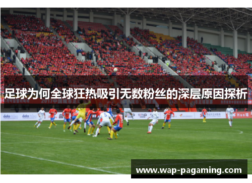 足球为何全球狂热吸引无数粉丝的深层原因探析