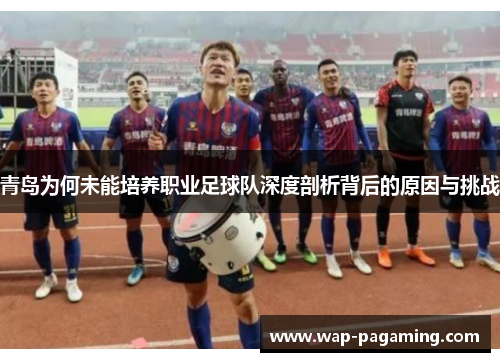 青岛为何未能培养职业足球队深度剖析背后的原因与挑战