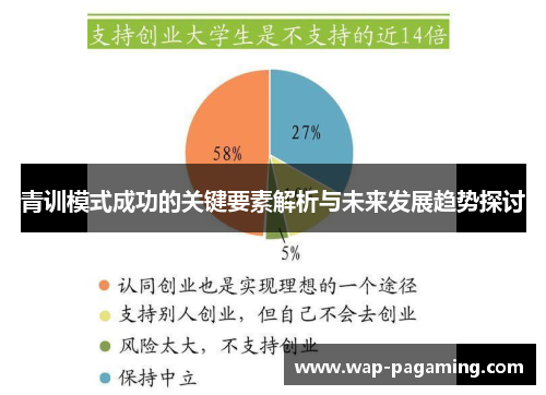 青训模式成功的关键要素解析与未来发展趋势探讨