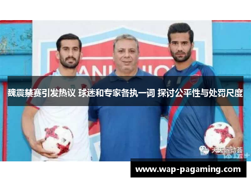 魏震禁赛引发热议 球迷和专家各执一词 探讨公平性与处罚尺度