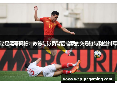 辽足黑幕揭秘：教练与球员背后暗藏的交易链与利益纠葛