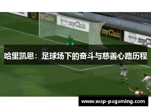 哈里凯恩：足球场下的奋斗与慈善心路历程