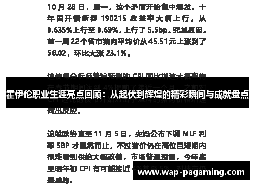 霍伊伦职业生涯亮点回顾：从起伏到辉煌的精彩瞬间与成就盘点