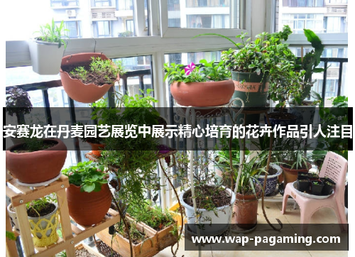 安赛龙在丹麦园艺展览中展示精心培育的花卉作品引人注目