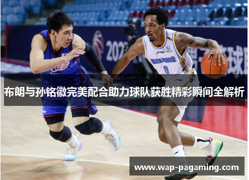 布朗与孙铭徽完美配合助力球队获胜精彩瞬间全解析
