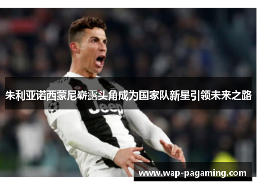 朱利亚诺西蒙尼崭露头角成为国家队新星引领未来之路