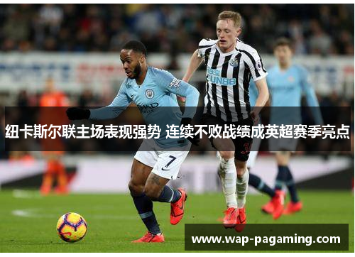 纽卡斯尔联主场表现强势 连续不败战绩成英超赛季亮点 纽卡斯尔联主场表现强势 连续不败战绩成英超赛季亮点