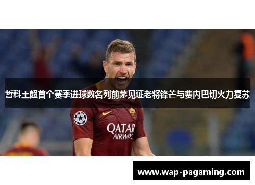 哲科土超首个赛季进球数名列前茅见证老将锋芒与费内巴切火力复苏