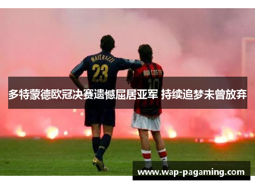 多特蒙德欧冠决赛遗憾屈居亚军 持续追梦未曾放弃 多特蒙德欧冠决赛遗憾屈居亚军 持续追梦未曾放弃