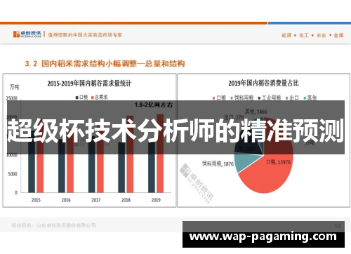 超级杯技术分析师的精准预测 超级杯技术分析师的精准预测