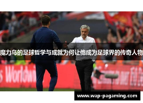 魔力鸟的足球哲学与成就为何让他成为足球界的传奇人物
