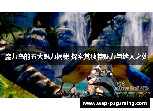 魔力鸟的五大魅力揭秘 探索其独特魅力与迷人之处