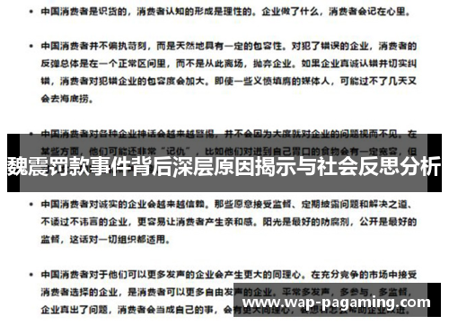 魏震罚款事件背后深层原因揭示与社会反思分析 魏震罚款事件背后深层原因揭示与社会反思分析