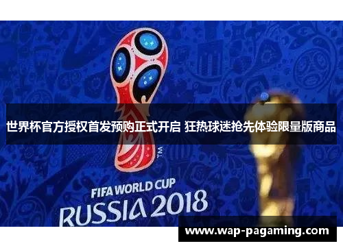 世界杯官方授权首发预购正式开启 狂热球迷抢先体验限量版商品